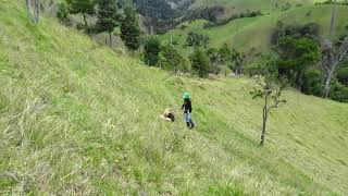 Salamina La Samaria San Felix Caldas Colombia Febrero 2019 [upl. by Attenahs]