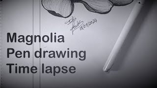 Time lapse magnolia pen drawing  sketch with me  cross hatching session [upl. by Ensoll]