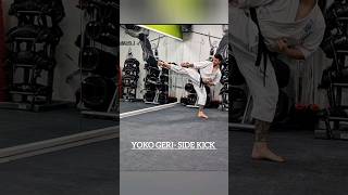 Shotokan  Yoko Geri shotokan karate japanmartialarts karatetraining kicking shotokankarate [upl. by Cairistiona]