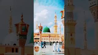 Aapke jesa ab tak jaha me mustafa koi Aya nahibeautiful naat islamicvideo youtube shortvideos [upl. by Geminius]