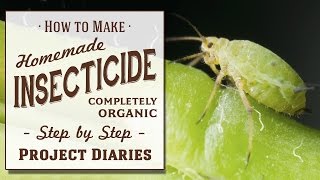 ★ How to Make Homemade Insecticide Complete Step by Step Guide to Killing Garden Pests amp Insects [upl. by Yeliab]