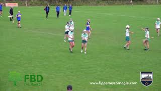 Tipperary Camogie Live Stream [upl. by Deer64]