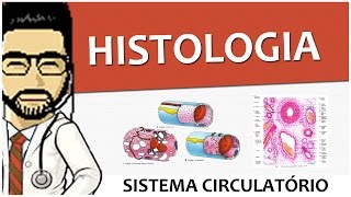 Sistema Circulatório 03  Histologia dos vasos Vídeo Aula [upl. by Dlorah321]