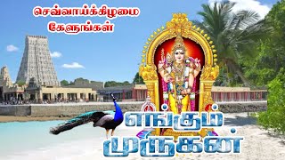 Thirumbiya Thisai Engum  Velappa Sri Velyutha  PSenthil Kumar  Tuesday Murugan Songs  HD [upl. by Amersham]