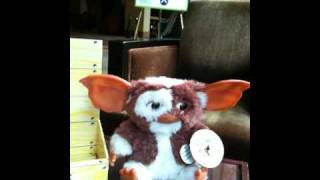 Gizmo from Gremlins doll ThinkGeek [upl. by Alvie]