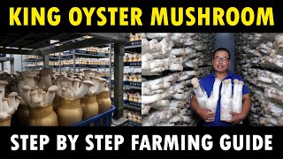 King Oyster Mushroom Cultivation  How to grow King Oyster Mushrooms  Mushroom Farming [upl. by Yztim]