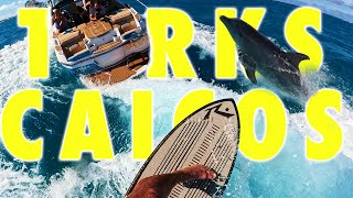 Wake Surfing with Dolphins in Turks and Caicos AND MORE [upl. by Nibbs]