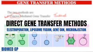 Direct Gene Transfer methods Electroporation Liposome fusion Gene Gun method Microinjection [upl. by Rimidalb]