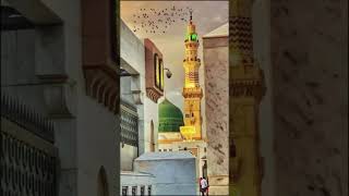 Ya Rasul ullah meri fariyad sun lijiye islamic stutas shorts video [upl. by Huan]