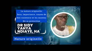 LA NATURE ORIGINELLE IMPORTANCE CAUSE DE LEXISTENCE ET  SA PROTECTION DR SIDY YAHYA NDIAYE HA [upl. by Gilpin391]