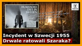 Incydent w Szwecji 1955 Drwale ratowali Szaraka [upl. by Esmerolda]