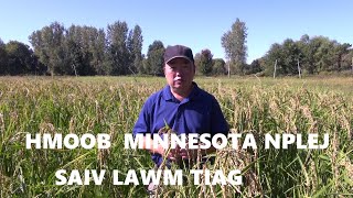 9 27 2024 Hmoob Minnesota Nplej Siav Lawm Taig [upl. by Silevi570]