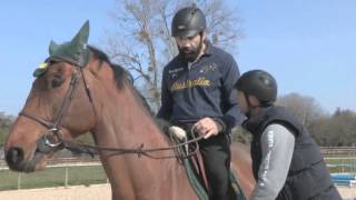 Sébastien Chabal découvre le jumping  Episode 46  JO 2012  Equidia Life [upl. by Amrak]