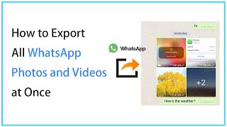 5 Ways to Export All WhastApp Photos and Videos to PC [upl. by Eve]