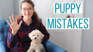 5 MISTAKES WE MADE WITH OUR MALTIPOO PUPPY  Mistakes New Dog Owners Make amp How to Avoid Them [upl. by Attiuqehs]