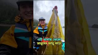 quotসামুদ্রিক শৈবালquot যা খেলে আয়ু বৃদ্ধি পায়।😱 seaweed sea seafood সামুদ্রিক [upl. by Naicad638]