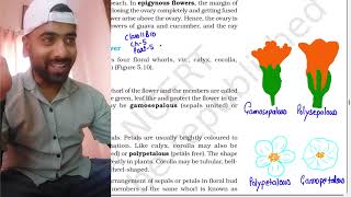 Morphology of flowering plants part 5Class 11Parts of flower  NEET AestivationPlacentation [upl. by Nileuqay]
