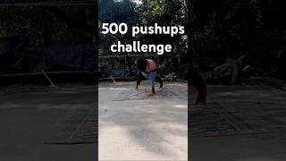 500 push up challenge pushups pushup 500pushups pushup challange shorts shortsfeed [upl. by Anilosi]