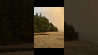 always  daniel caesar slowed reverb  TikTok Version lyrics lyrics4mood shorts [upl. by Suollecram]