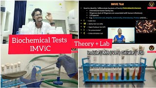 Biochemical Tests  IMViC  Tamil  Microbiology  Indole  MRVP  Citrate  Biology ThiNK VISION [upl. by Mloclam51]