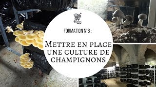 Formation n°8  mettre en place une culture de champignon [upl. by Ahsinik]