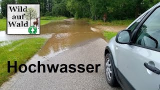 🌊Hochwasser in Österreich [upl. by Mikahs117]