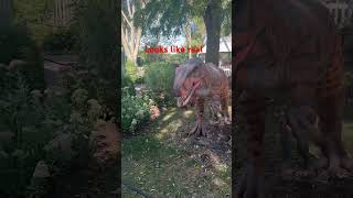 we went to visit the African safari wildlife park in Marblehead Ohio shortvacay family [upl. by Westney]