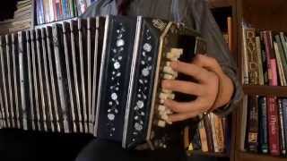 BANDONEON Bandoneon solo by David Alsina [upl. by Enialedam]