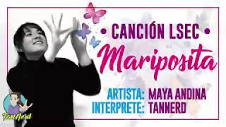 Canción  Mariposita interpretación en lengua de señas ecuatoriana LSEC Maya Andina [upl. by Alicia]