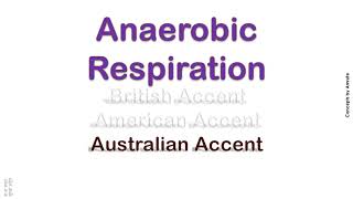 Anaerobic Respiration How to Pronounce Anaerobic Respiration in Australian British Accent [upl. by Aeriell158]