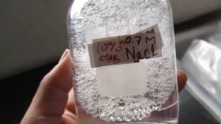 How to prepare CTAB reagent for DNA extraction [upl. by Lucrece]