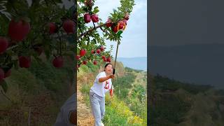 Wow such a crazy fruits and beautiful nature 😋🥝🍎🥭🍓 shorts nature fruit [upl. by Homerus809]