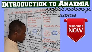 Introduction to Anaemia  Mophological classification made easy [upl. by Tirrell]