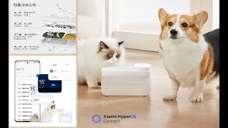 Xiaomi Wireless Smart Pet Water Dispenser [upl. by Riess549]