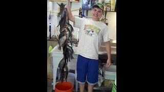 Crappie Killer Rig  Best Crappie Rig EVER [upl. by Revlis156]