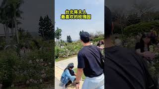 玫瑰 花的世界很美 好看的花一定要分享給你 臺北 [upl. by Pan]