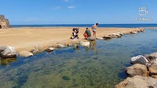 Fuerteventura Caleta de fuste beach walk [upl. by Ardiekal]