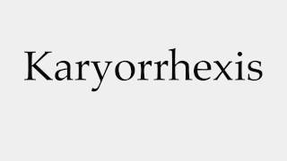 How to Pronounce Karyorrhexis [upl. by Manella]