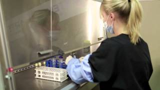 StemCell ARTS Lab Tour  How Do We Process Your Platelets and Cells [upl. by Llerryt]