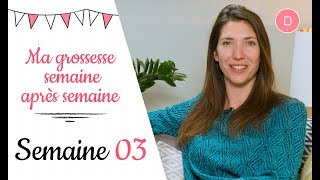 3ème semaine de grossesse – Les nausées [upl. by Dag928]