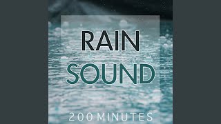 Rain Sound Pure White Noise for Natural Deep Sleep Inducing [upl. by Lali]