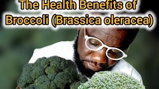 The Health Benefits of Broccoli Brassica oleracea [upl. by Reinal]