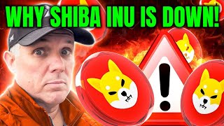 WHY SHIBA INU IS DOWN TODAY BREAKING SHIBA INU COIN NEWS [upl. by Baggett]