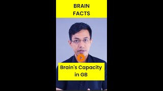 Human Brains Capacity in GB Revealed [upl. by Eahsal]