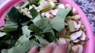 How to cook Green Taro Leaves  Karkalo  Gava  Healthy Foods  Nepali style [upl. by Reed]