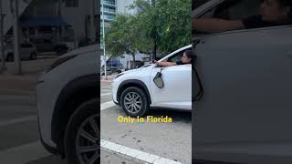 Only In Florida Things Like This Happen accentbwoy shorts florida shortvideo miami roadrage [upl. by Waly317]