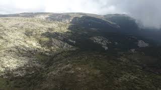 Recuperaciónregeneración en la Sierra de Guadarrama [upl. by Claresta213]