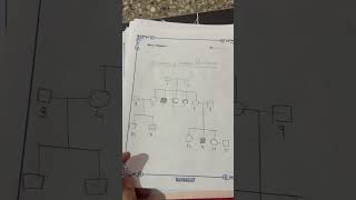 The pedigree chart of genetic traits class 12 biology practical [upl. by Bilicki]