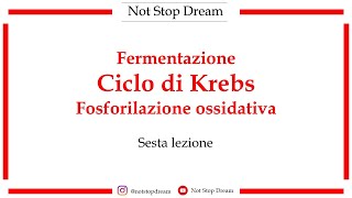 6  Fermentazione Ciclo di Krebs Fosforilazione ossidativa [upl. by Ecertap]