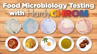 HardyCHROM™ Chromogenic Media for Food Safety Testing [upl. by Henka]